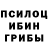 Псилоцибиновые грибы Cubensis Deshawn Brown