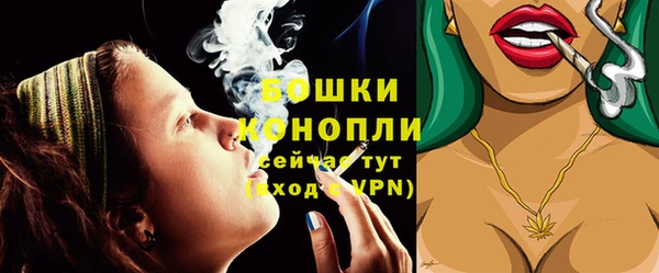 первитин Коряжма