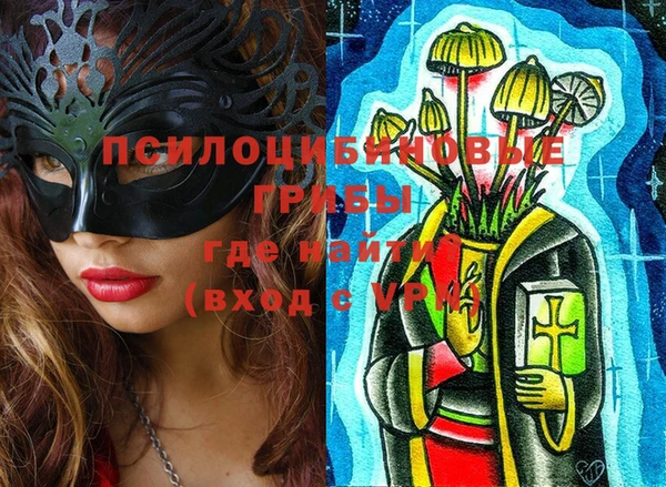 первитин Коряжма