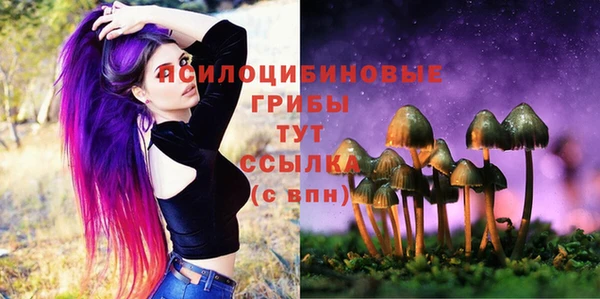 apvp Корсаков