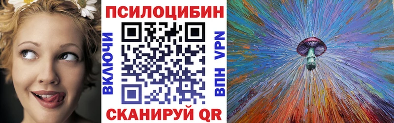 Псилоцибиновые грибы Cubensis Гудермес